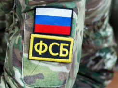 В Ростове ФСБ задержала женщину, которая работала в госучреждении и спонсировала ВСУ