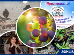 Спешим в «Долину Дона», любуемся хищными растениями и ловим «Образы изменчивого мира»: куда пойти в Ростове на этих выходных