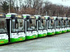 В Ростове на Красноармейской может появиться выделенная полоса для автобусов