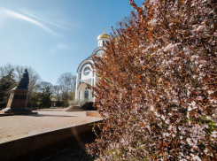 Синоптики рассказали, когда в Ростовскую область придет лето