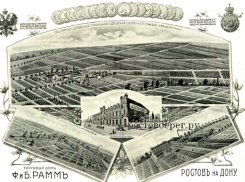 Поставщики императора и советский креатив: с чего начинался ростовский Ботанический сад