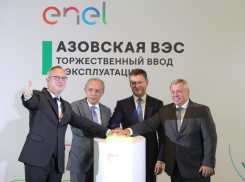 Построившая ветропарк в Ростовской области компания хочет уйти из России