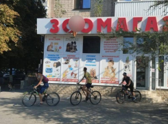 В Азове психолог из Москвы выпала с шестого этажа