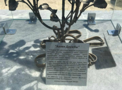 Бронзовый символ дружбы жителей Донбасса и донского региона установили в Ростове