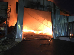 Под Ростовом загорелся склад с семечкой