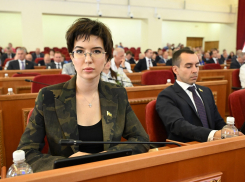 С брата депутата ЗС РО Анны Касьяненко, пытавшегося отжать у нее бизнес, взыщут 12 млн рублей