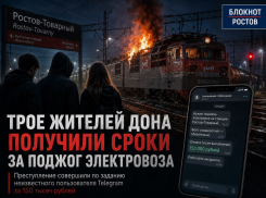 Молодого парня и двух подростков отправили за решётку за теракт на станции Ростов-Товарный за 150 тыс рублей
