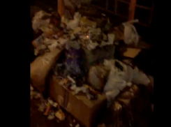 Смирившуюся с гниющим мусором в центре города власть хотят поменять жители Ростова
