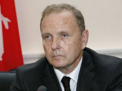 Замполпреда в ЮФО требует уволить ростовских чиновников, не справившихся с коллапсом