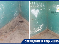 На отсутствие уборки в подъезде во время пандемии covid-19 пожаловались ростовчане