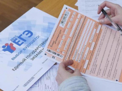 В этом году ЕГЭ сдадут 4 596 ростовских одиннадцатиклассников 