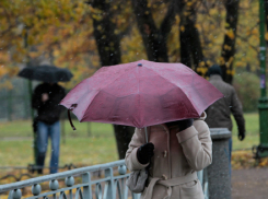 Легкий моросящий дождик подмочит настроение жителям Ростова в этот вторник