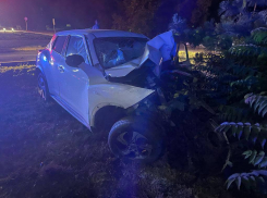 В Ростовской области молодой водитель погиб, врезавшись в столб