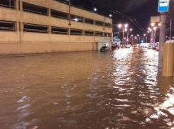 Ростовчане попросили президента отправить Горбаня в отставку