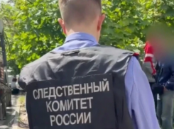 В Батайске возбудили уголовное дело после нападения на водителя автобуса