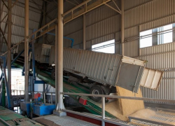 Из-за возможного дефицита Россия может ограничить вывоз зерна из страны