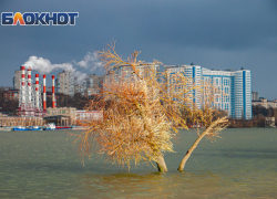 В Ростове выходные начнутся с тепла и умеренного ветра