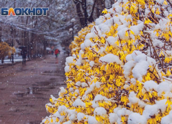 Потепление до +5 и ночной дождь ожидаются в Ростове 20 февраля