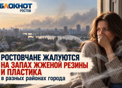 Ростовчане жалуются на жуткую вонь в разных районах города