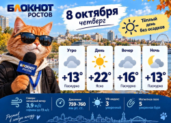 Тепло и без дождей: какая погода ждет Ростов 8 октября