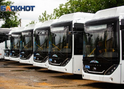 Руководитель транспортной компании поделился первым опытом работы на маршрутах в Ростове