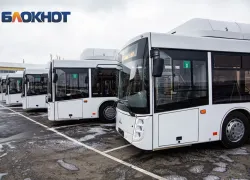 На Дону обновят 1,5 тысячи автобусов до 2030 года
