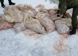 Ростовский браконьер наловил рыбы почти на два миллиона рублей