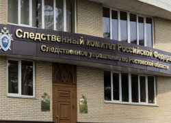 Следком заинтересовался видеороликом с жестокой матерью из Ростова