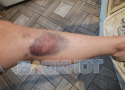 Мужчину, истязавшего экс-жену и детей в Ростове, отправили в СИЗО 