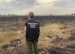 В Ростовской области совершил жесткую посадку легкомоторный самолет «Бекас»