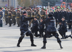 Полиция отчиталась о снижении преступности в Ростове-на-Дону на три процента