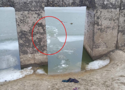 Двое рыбаков в Ростовской области провалились под лед