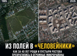 Из полей в «человейники»: как за 40 лет изменился Ростов, и почему не хватает инфраструктуры