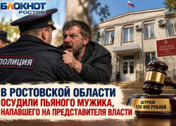 В Ростовской области осудили пьяного мужика, напавшего на представителя власти