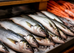 Свыше 11 т мороженой рыбы экспортировали из Ростовской области 