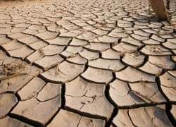 Режим ЧС федерального характера ввели в Ростовской области 