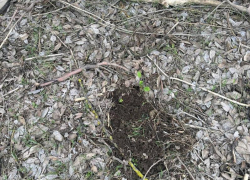 На «закладке» полицейские задержали дончанина, подозреваемого в хранении наркотиков 