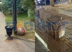 Ростовский Пушкин остался только с одним шаром из двух: самое нелепое ограбление