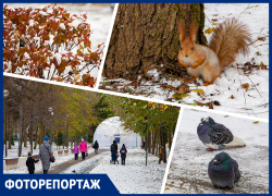 В Ростове-на-Дону выпал первый снег: детвора, автомобилисты и суета