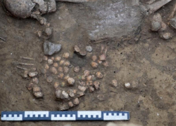 На Нижнем Дону обнаружили древнюю игру — предшественницу шахмат 