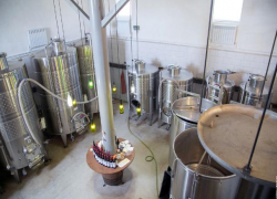 Производители вина в Ростовской области просят больше поддержки