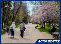 В Ростов пришла яркая, красочная и теплая весна: сочный фоторепортаж