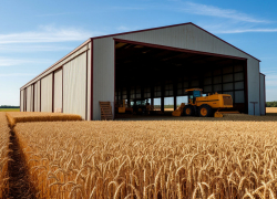 Донской урожай пшеницы 2025 года показал высокое качество