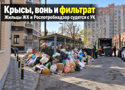 «Крысы и вонь»: жильцы ЖК и Роспотребнадзор судятся с УК из-за тонны мусора под окнами 