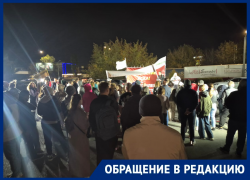 Жители донских поселков рассказали об итогах митинга за свою лесополосу