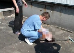 Развешивающий белье на балконе мужчина погиб, упав с высоты 9-го этажа в Ростовской области