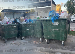 Вонь и крысы: ростовчане жалуются на ограниченное количество контейнеров в крупном ЖК