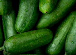 ЦБ объяснил рост цен на огурцы в Ростовской области