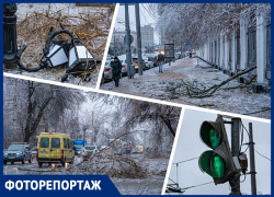 Упавшие деревья, оборванные провода и все во льду: как выглядит Ростов после ледяного дождя