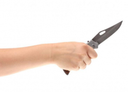 Дочь бывшего депутата гордумы Шахт подозревают в убийстве брата